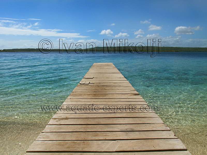 cayo sombrero